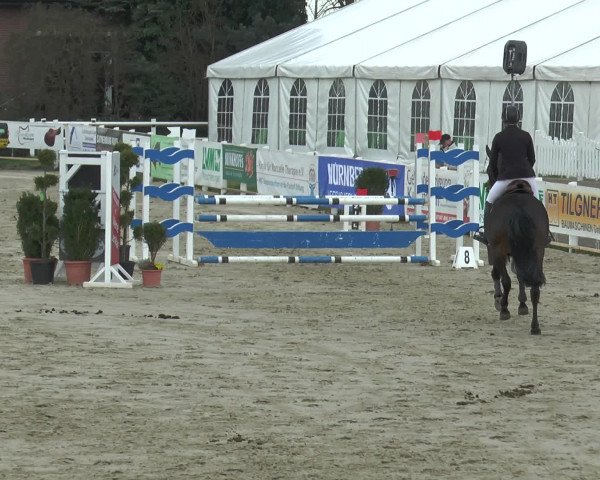 Reitturnier Werne-Lenklar 2016
