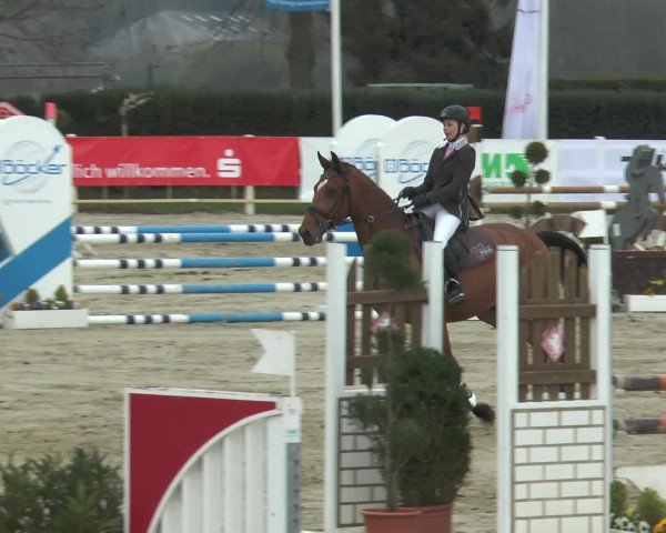 Reitturnier Werne-Lenklar 2016