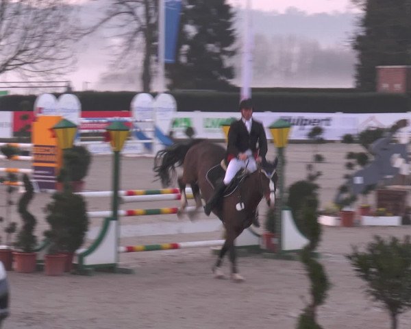 Reitturnier Werne-Lenklar 2016