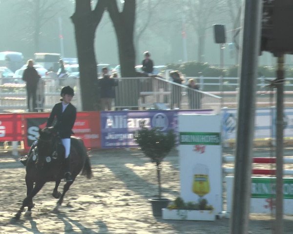 Lenklarer Reitertage 2016