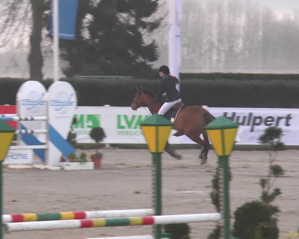 Reitturnier Werne-Lenklar 2016