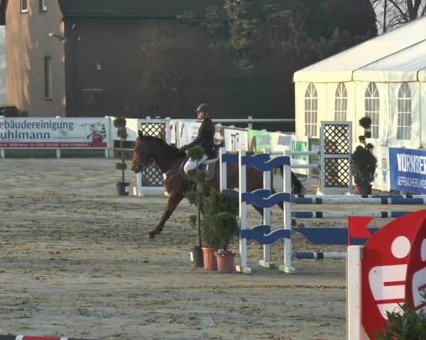 Reitturnier Werne-Lenklar 2016