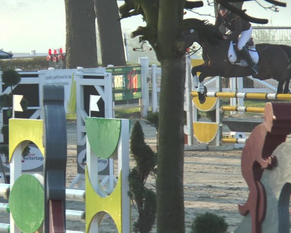 Reitturnier Werne-Lenklar 2016