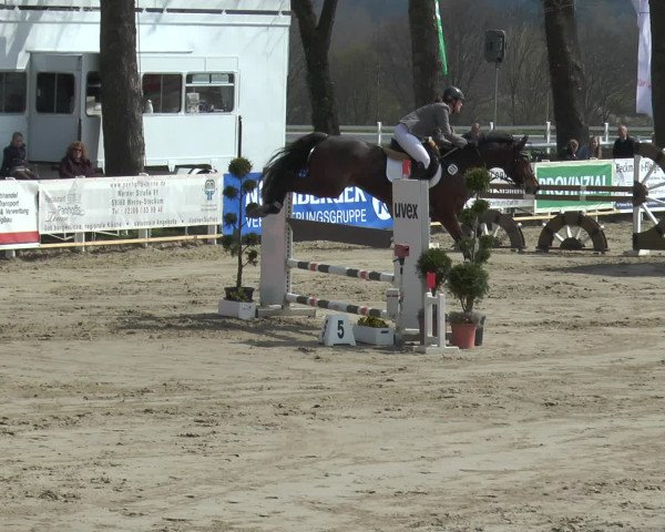 Reitturnier Werne-Lenklar 2016