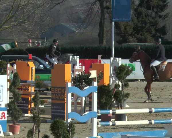 Lenklarer Reitertage 2016