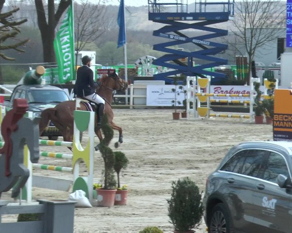 Lenklarer Reitertage 2016