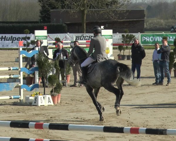 Reitturnier Werne-Lenklar 2016