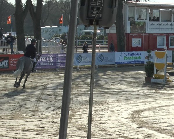 Reitturnier Werne-Lenklar 2016