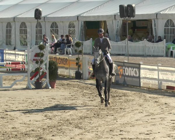 Reitturnier Werne-Lenklar 2016