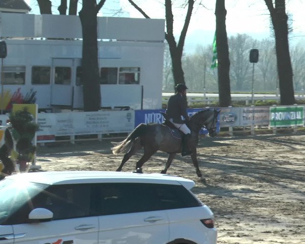 Reitturnier Werne-Lenklar 2016