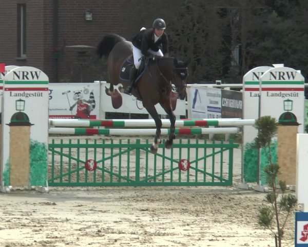 Lenklarer Reitertage 2016
