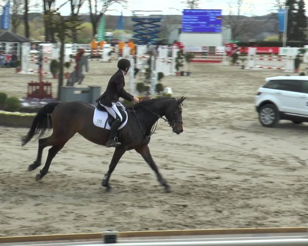 Reitturnier Werne-Lenklar 2016