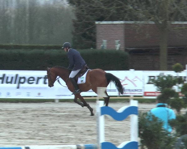 Reitturnier Werne-Lenklar 2016
