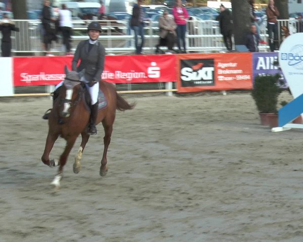 Reitturnier Werne-Lenklar 2016