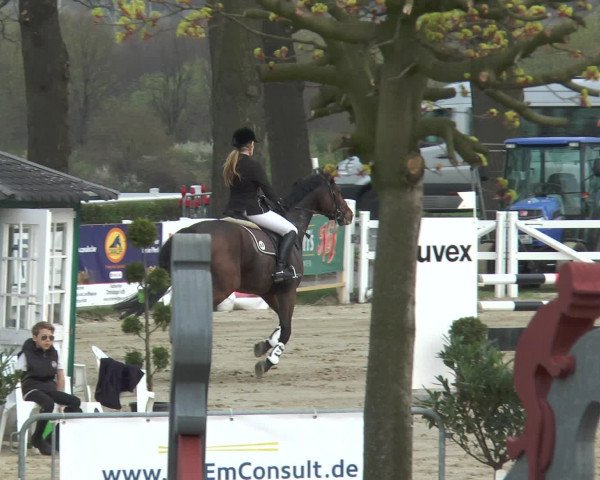 Lenklarer Reitertage 2016