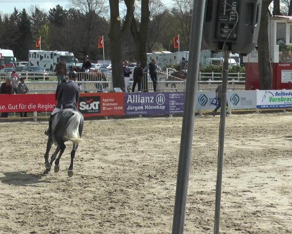 Lenklarer Reitertage 2016