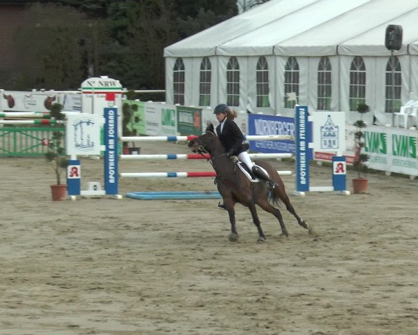 Lenklarer Reitertage 2016