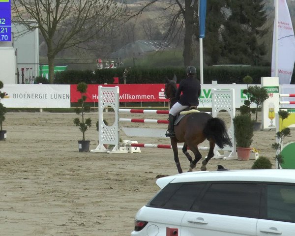 Reitturnier Werne-Lenklar 2016