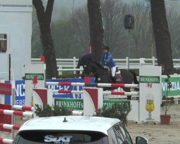 Reitturnier Werne-Lenklar 2016