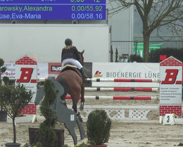 Reitturnier Werne-Lenklar 2016