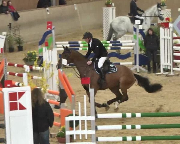 Hallenspringturnier Friedrichshafen-Ailingen 2016