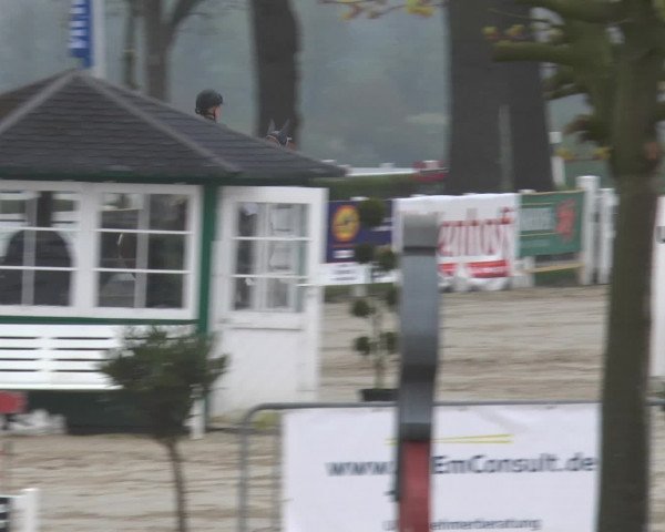 Lenklarer Reitertage 2016