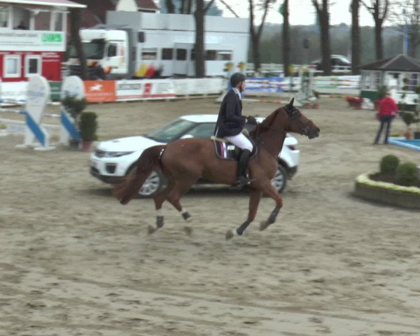 Lenklarer Reitertage 2016