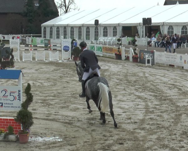 Lenklarer Reitertage 2016