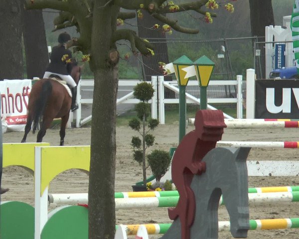 Reitturnier Werne-Lenklar 2016