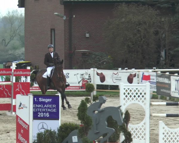 Lenklarer Reitertage 2016