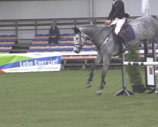 Reitturnier Rendsburg 2016