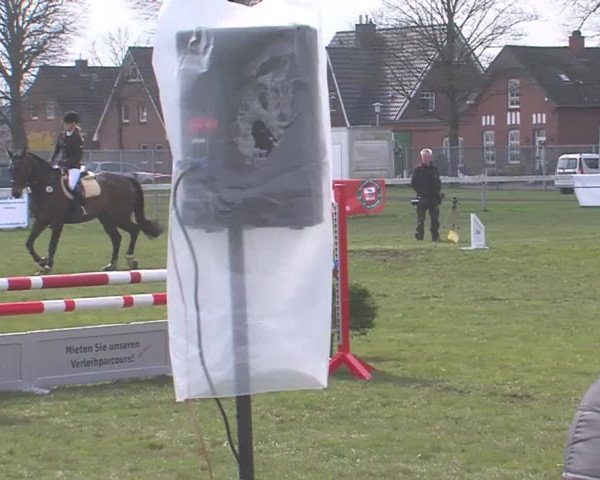 Reitturnier Rendsburg 2016