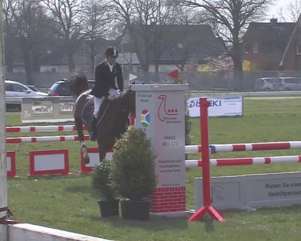 Reitturnier Rendsburg 2016