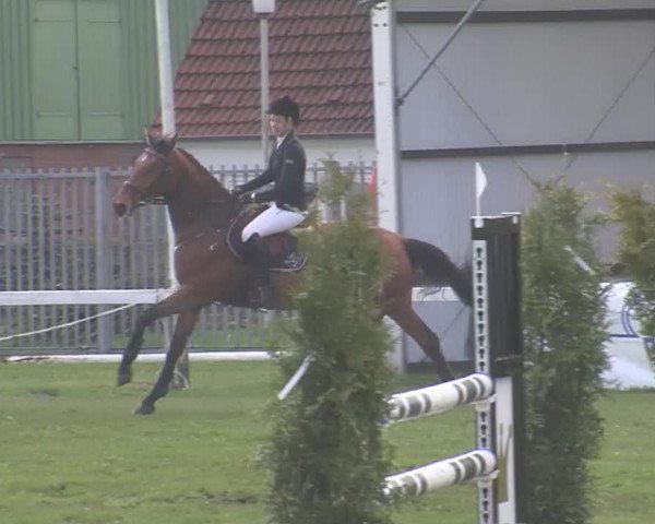 Reitturnier Rendsburg 2016