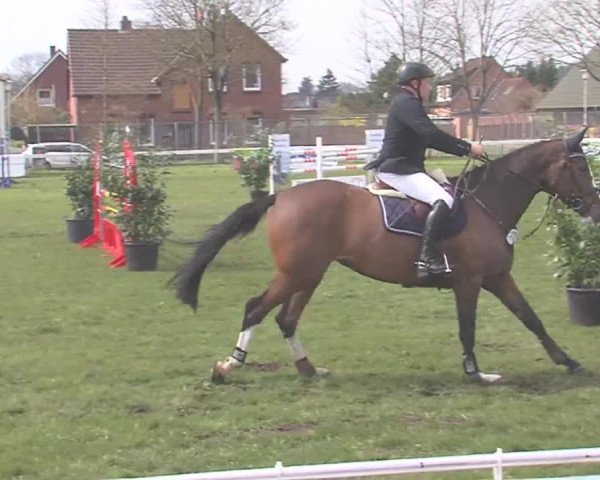 Reitturnier Rendsburg 2016