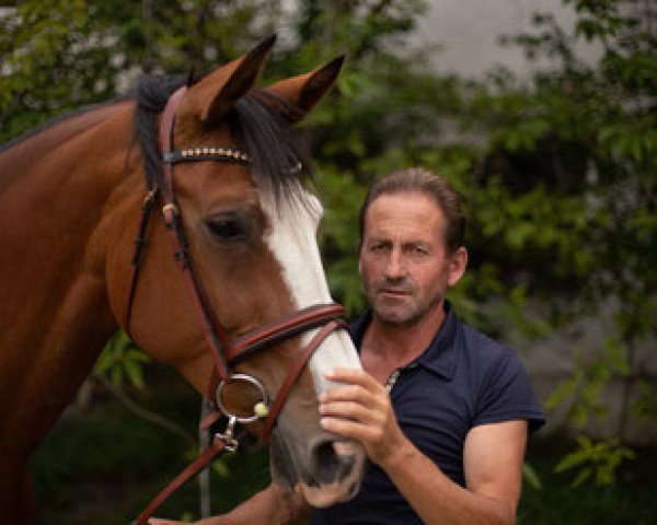 broodmare Ravenna 376 (Bavarian, 2005, from Carlando I)