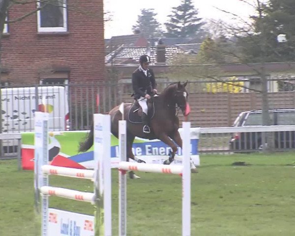 Reitturnier Rendsburg 2016