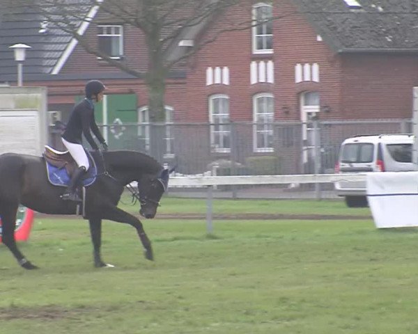 Reitturnier Rendsburg 2016