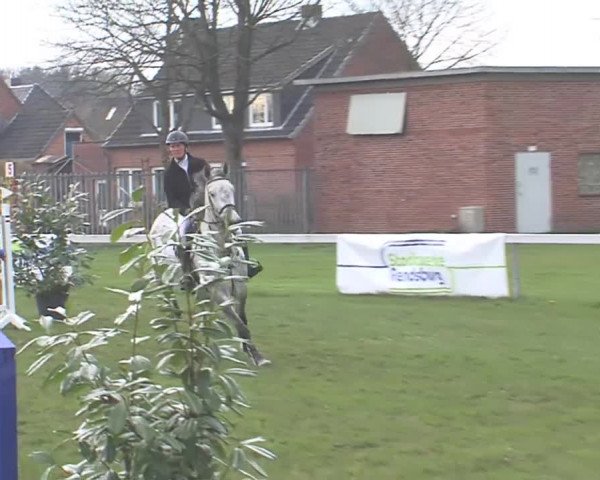 Reitturnier Rendsburg 2016