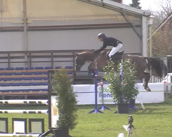 Reitturnier Rendsburg 2016