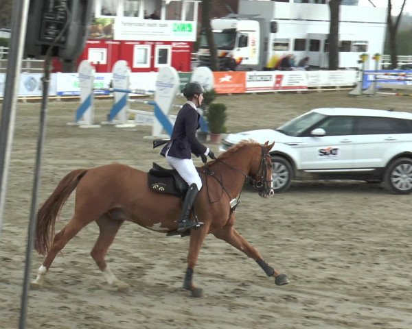 Lenklarer Reitertage 2016