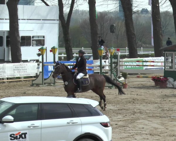 Reitturnier Werne-Lenklar 2016