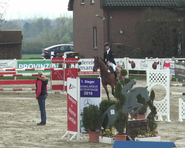 Reitturnier Werne-Lenklar 2016