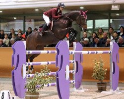 broodmare Cinderella (KWPN (Royal Dutch Sporthorse), 2007, from Colman)