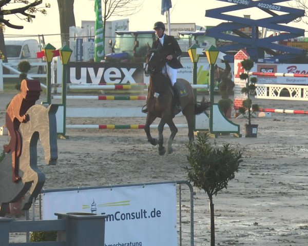 Reitturnier Werne-Lenklar 2016