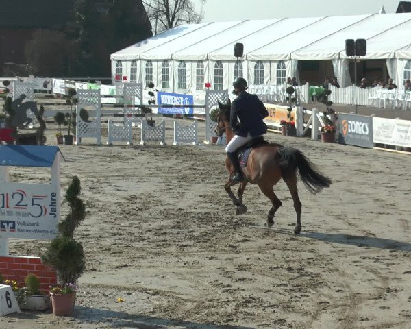 Lenklarer Reitertage 2016