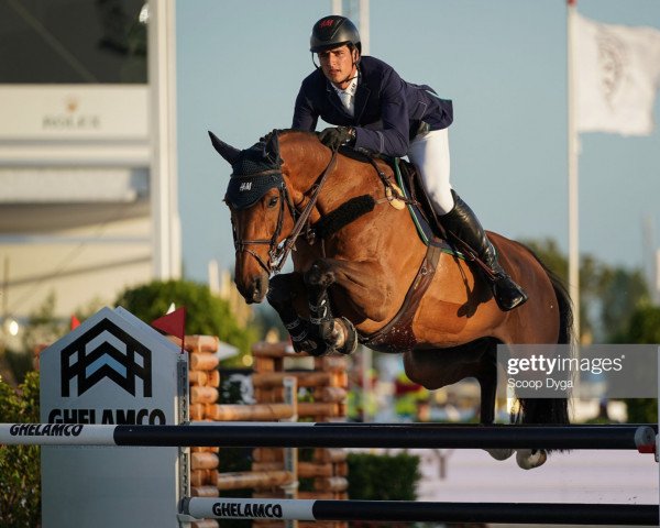jumper Cayani Sn (Swedish Warmblood, 2010, from Cayado 3)