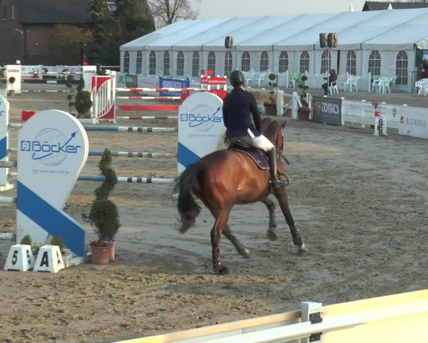 Lenklarer Reitertage 2016