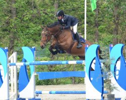 jumper Heritage de Goedereede (Belgian Warmblood, 2007, from Faramir de Goedereede)