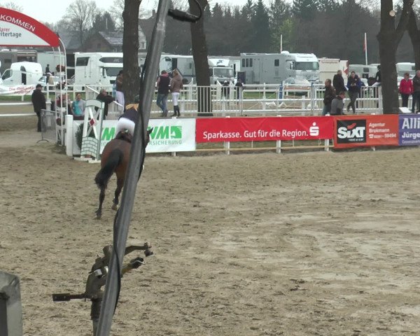 Reitturnier Werne-Lenklar 2016